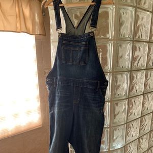 Torrid Dark Denim Overalls